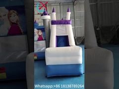 بيع ساخن القفز المضخم المنزل المجمد الكرتون المضخم المنزلق للحفلات المضخم القصر المشترك