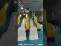 المنزلقات الجافة المضغوطة القصر المنزلقات المزدوجة المنزلقات العملاقة المضغوطة كرتون القرش للأطفال والبالغين