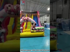 المنزلق المضغوط ميكي وميني المنزلق المزدوج الجاف